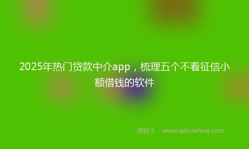 2025年热门贷款中介app，梳理五个不看征信小额借钱的软件