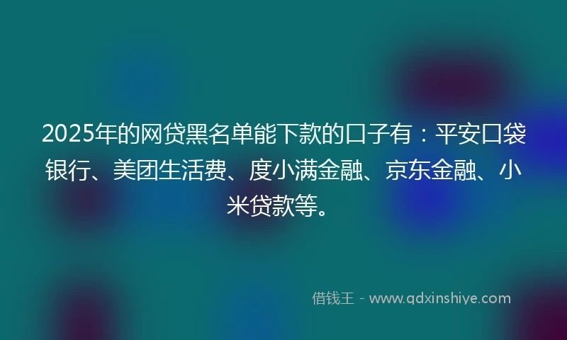2025年的网贷黑名单能下款的口子有：平安口袋银行、美团生活费、度小满金融、京东金融、小米贷款等。