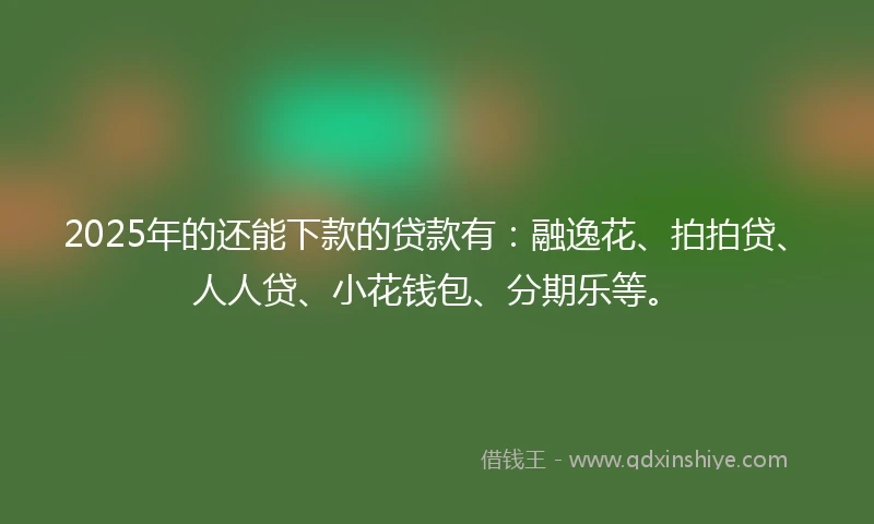2025年的还能下款的贷款有：融逸花、拍拍贷、人人贷、小花钱包、分期乐等。