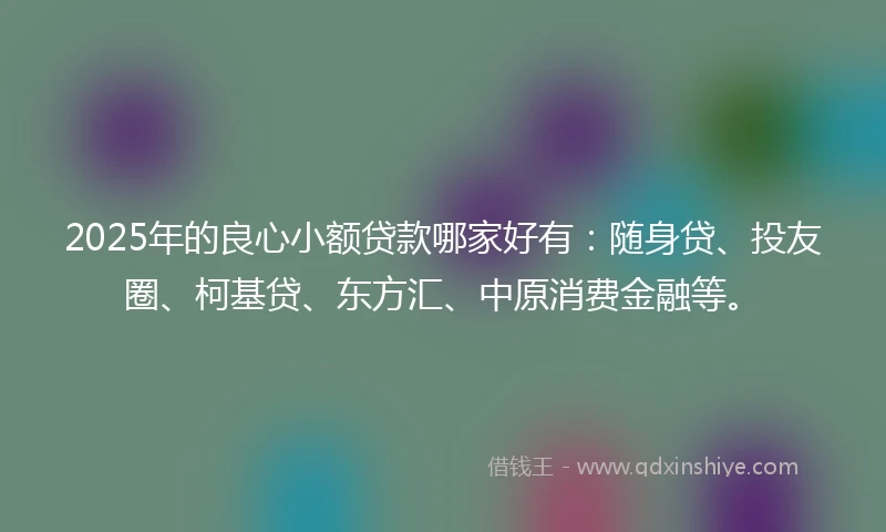 2025年的良心小额贷款哪家好有：随身贷、投友圈、柯基贷、东方汇、中原消费金融等。