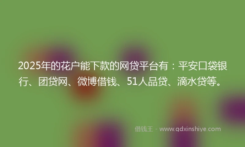 2025年的花户能下款的网贷平台有：平安口袋银行、团贷网、微博借钱、51人品贷、滴水贷等。