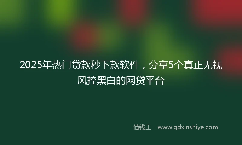 2025年热门贷款秒下款软件，分享5个真正无视风控黑白的网贷平台