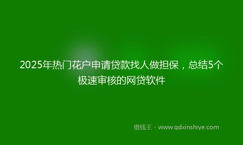 2025年热门花户申请贷款找人做担保，总结5个极速审核的网贷软件