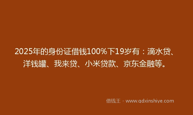 2025年的身份证借钱100%下19岁有：滴水贷、洋钱罐、我来贷、小米贷款、京东金融等。