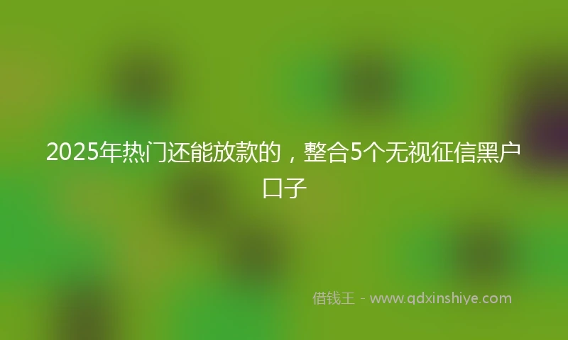 2025年热门还能放款的，整合5个无视征信黑户口子