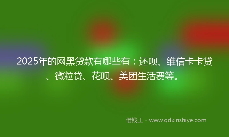 2025年的网黑贷款有哪些有：还呗、维信卡卡贷、微粒贷、花呗、美团生活费等。
