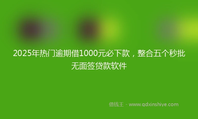 2025年热门逾期借1000元必下款，整合五个秒批无面签贷款软件