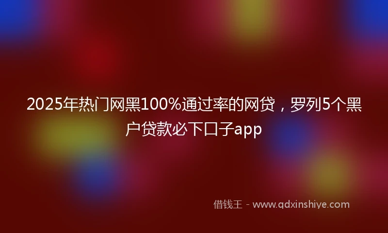 2025年热门网黑100%通过率的网贷，罗列5个黑户贷款必下口子app
