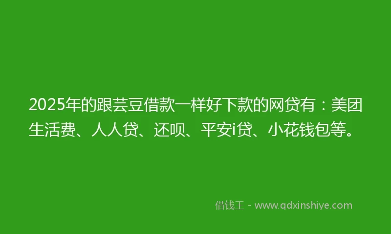 2025年的跟芸豆借款一样好下款的网贷有：美团生活费、人人贷、还呗、平安i贷、小花钱包等。