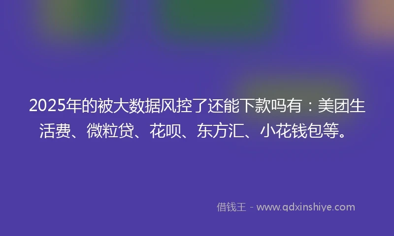 2025年的被大数据风控了还能下款吗有：美团生活费、微粒贷、花呗、东方汇、小花钱包等。