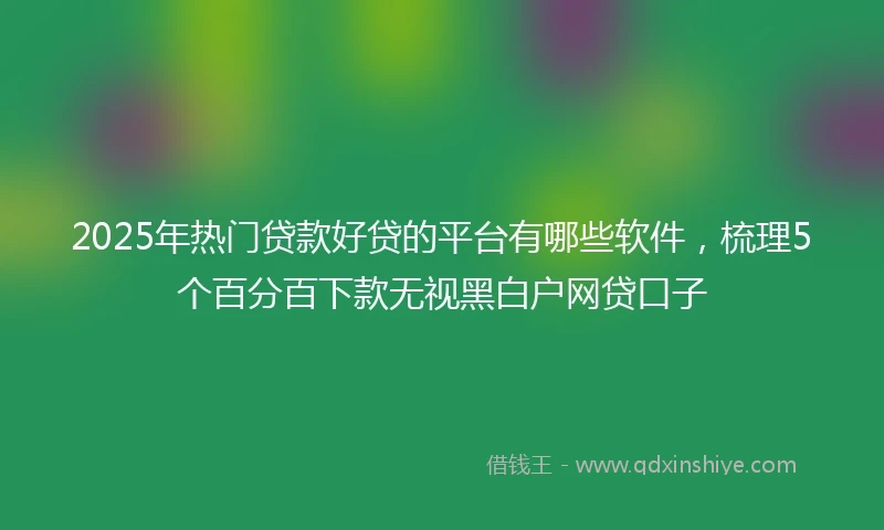 2025年热门贷款好贷的平台有哪些软件，梳理5个百分百下款无视黑白户网贷口子