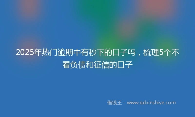2025年热门逾期中有秒下的口子吗，梳理5个不看负债和征信的口子