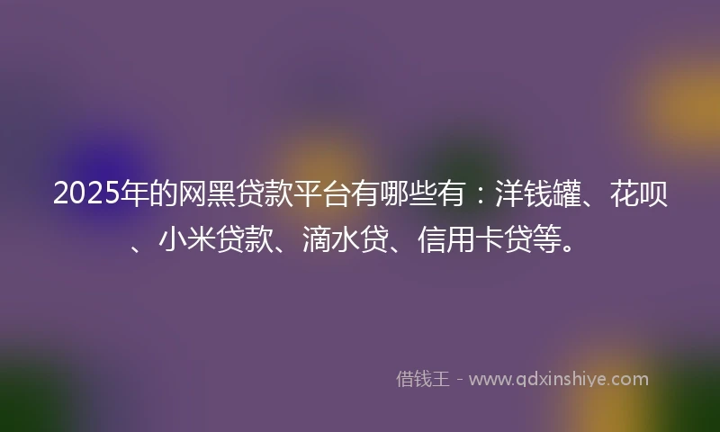 2025年的网黑贷款平台有哪些有：洋钱罐、花呗、小米贷款、滴水贷、信用卡贷等。