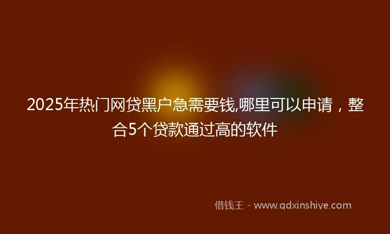 2025年热门网贷黑户急需要钱,哪里可以申请，整合5个贷款通过高的软件