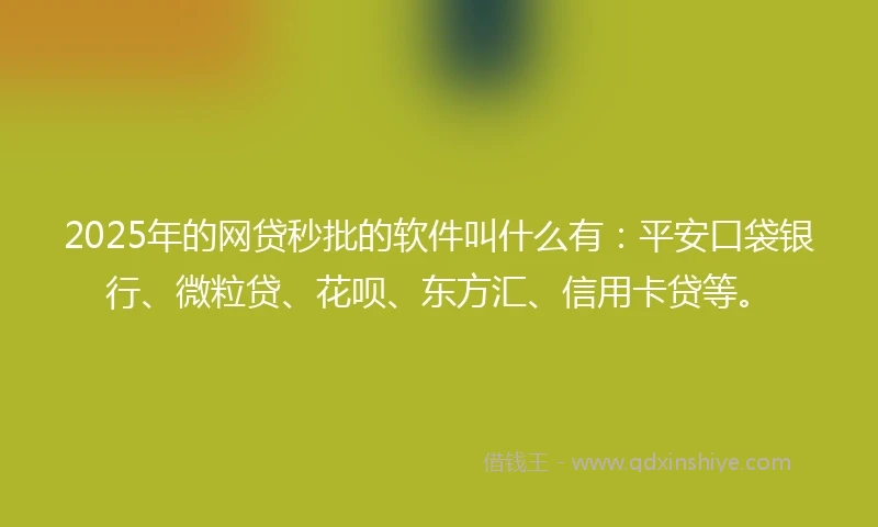 2025年的网贷秒批的软件叫什么有：平安口袋银行、微粒贷、花呗、东方汇、信用卡贷等。