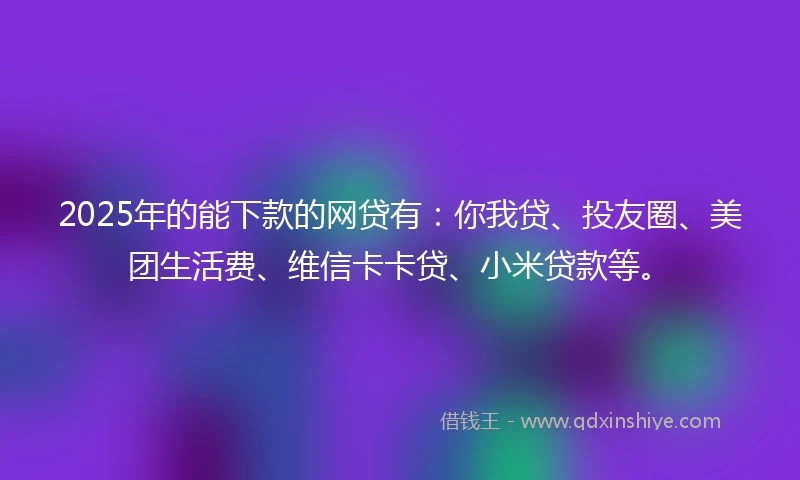 2025年的能下款的网贷有：你我贷、投友圈、美团生活费、维信卡卡贷、小米贷款等。