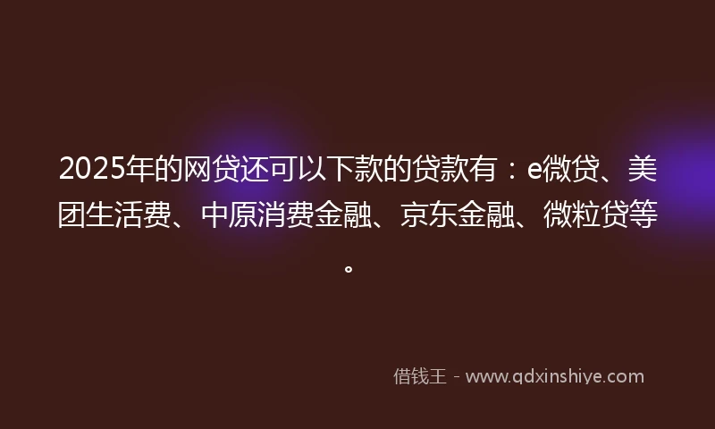 2025年的网贷还可以下款的贷款有：e微贷、美团生活费、中原消费金融、京东金融、微粒贷等。
