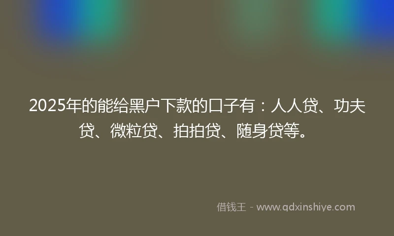 2025年的能给黑户下款的口子有：人人贷、功夫贷、微粒贷、拍拍贷、随身贷等。