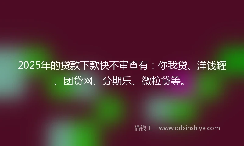2025年的贷款下款快不审查有：你我贷、洋钱罐、团贷网、分期乐、微粒贷等。