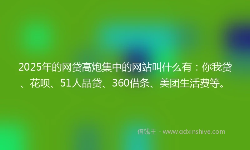 2025年的网贷高炮集中的网站叫什么有：你我贷、花呗、51人品贷、360借条、美团生活费等。