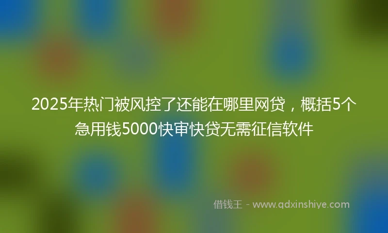 2025年热门被风控了还能在哪里网贷，概括5个急用钱5000快审快贷无需征信软件