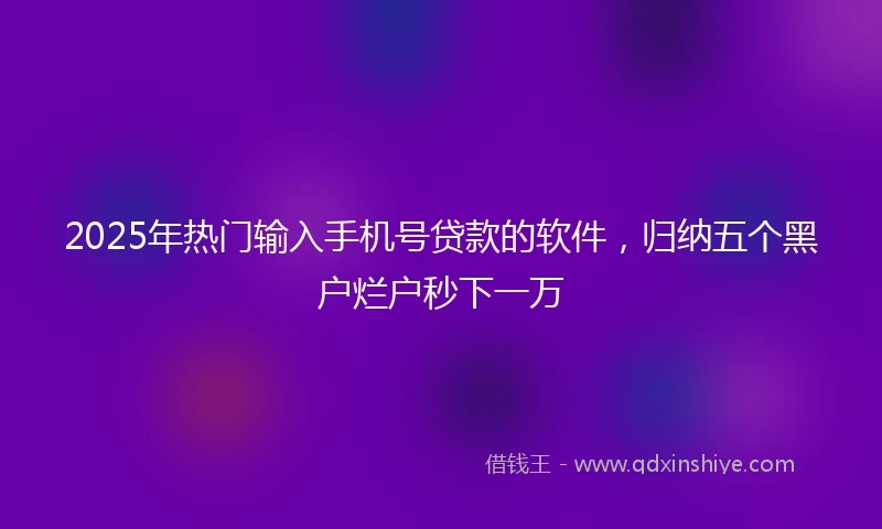 2025年热门输入手机号贷款的软件，归纳五个黑户烂户秒下一万