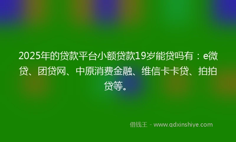 2025年的贷款平台小额贷款19岁能贷吗有：e微贷、团贷网、中原消费金融、维信卡卡贷、拍拍贷等。