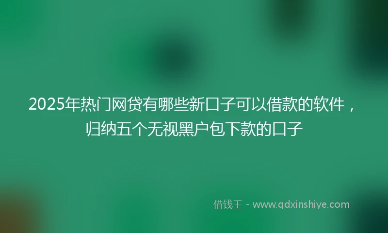 2025年热门网贷有哪些新口子可以借款的软件，归纳五个无视黑户包下款的口子