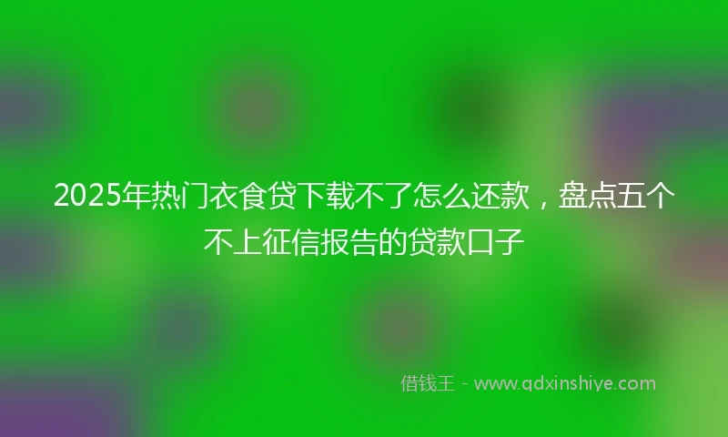 2025年热门衣食贷下载不了怎么还款，盘点五个不上征信报告的贷款口子