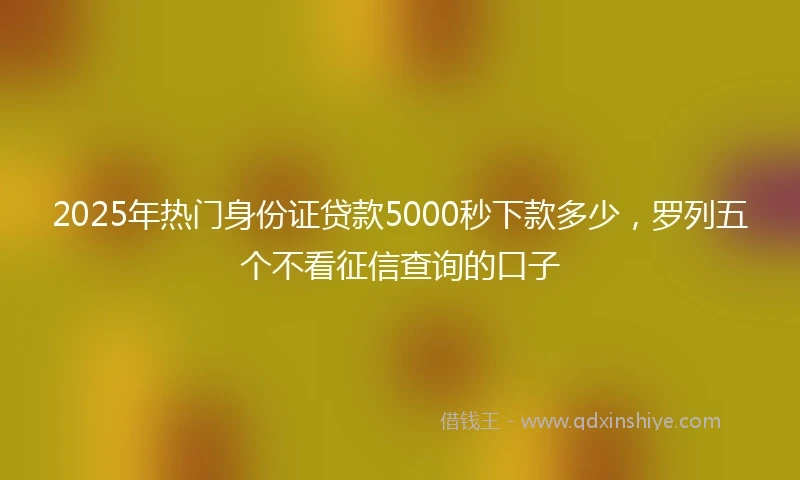 2025年热门身份证贷款5000秒下款多少，罗列五个不看征信查询的口子