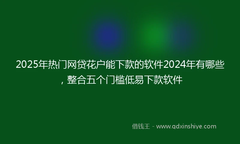 2025年热门网贷花户能下款的软件2024年有哪些，整合五个门槛低易下款软件