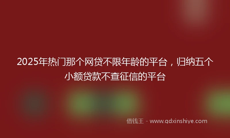 2025年热门那个网贷不限年龄的平台，归纳五个小额贷款不查征信的平台
