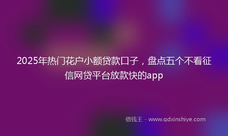 2025年热门花户小额贷款口子，盘点五个不看征信网贷平台放款快的app