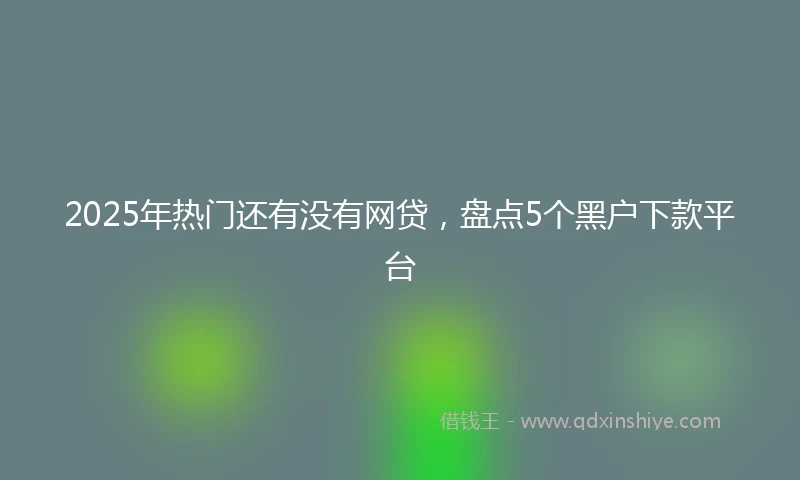 2025年热门还有没有网贷，盘点5个黑户下款平台