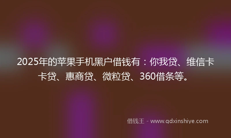 2025年的苹果手机黑户借钱有：你我贷、维信卡卡贷、惠商贷、微粒贷、360借条等。