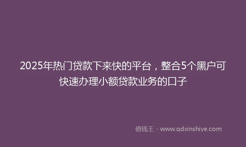 2025年热门贷款下来快的平台，整合5个黑户可快速办理小额贷款业务的口子