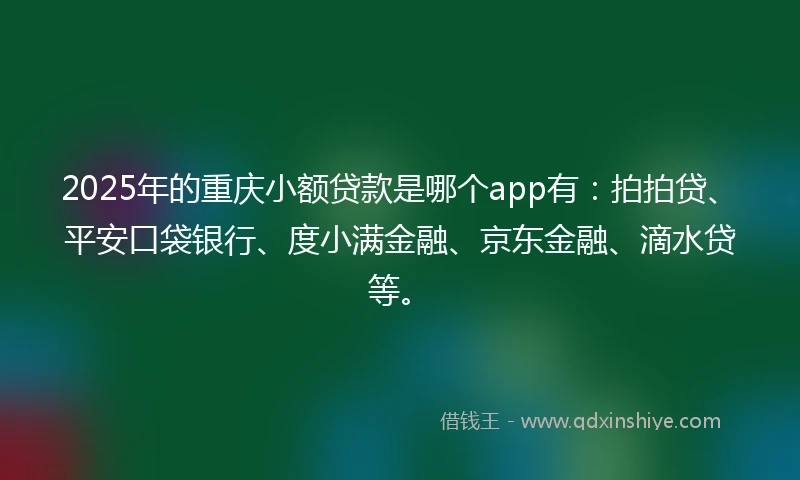 2025年的重庆小额贷款是哪个app有：拍拍贷、平安口袋银行、度小满金融、京东金融、滴水贷等。
