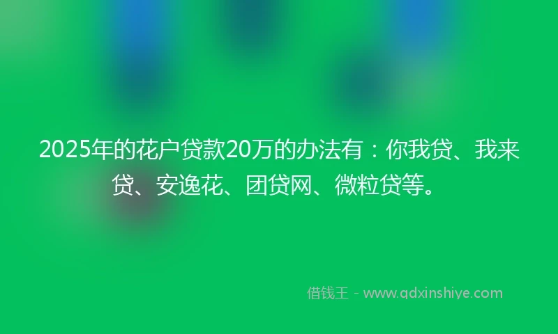 2025年的花户贷款20万的办法有：你我贷、我来贷、安逸花、团贷网、微粒贷等。
