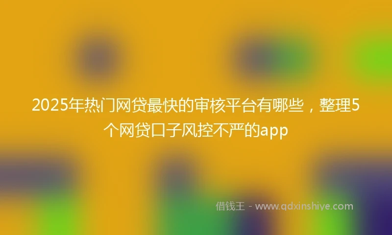 2025年热门网贷最快的审核平台有哪些，整理5个网贷口子风控不严的app