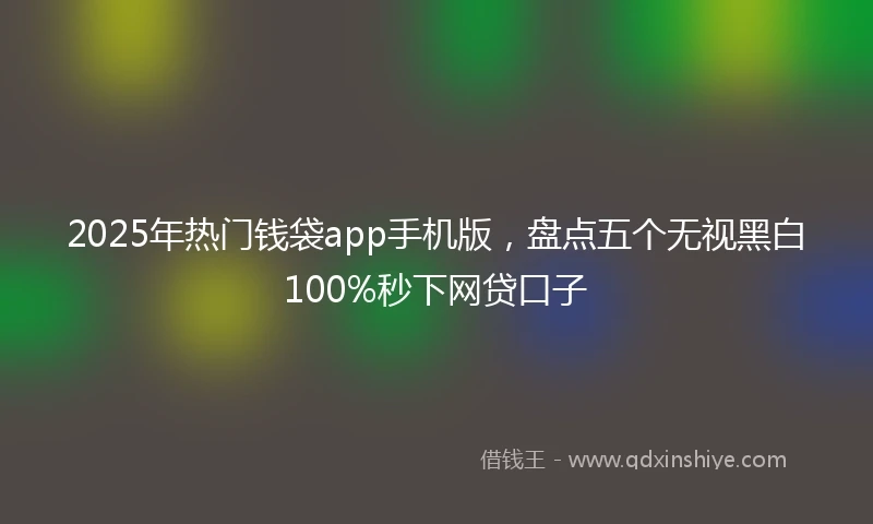 2025年热门钱袋app手机版，盘点五个无视黑白100%秒下网贷口子