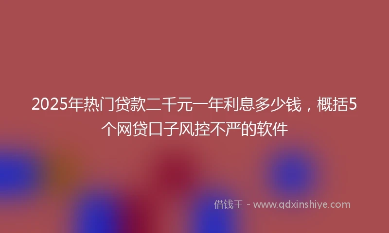 2025年热门贷款二千元一年利息多少钱，概括5个网贷口子风控不严的软件