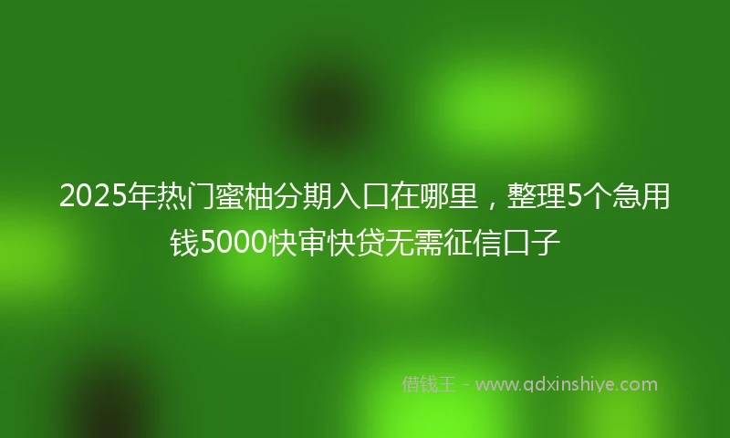 2025年热门蜜柚分期入口在哪里，整理5个急用钱5000快审快贷无需征信口子