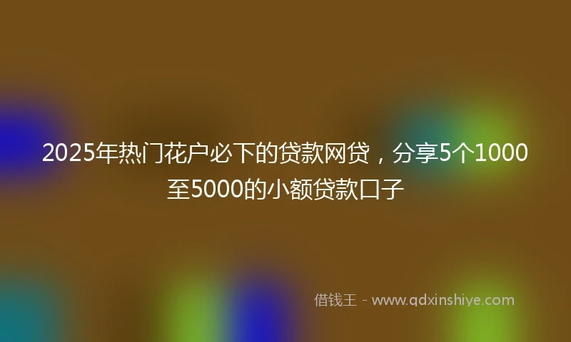 2025年热门花户必下的贷款网贷，分享5个1000至5000的小额贷款口子