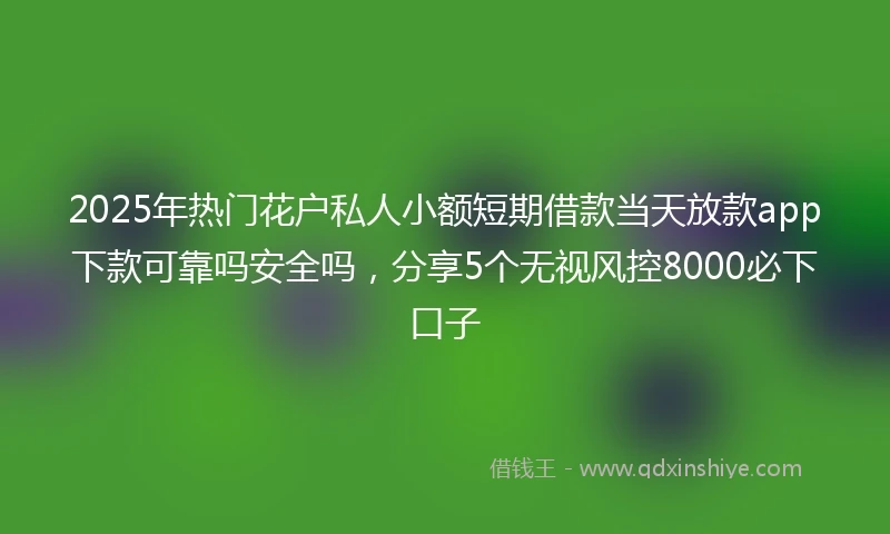 2025年热门花户私人小额短期借款当天放款app下款可靠吗安全吗，分享5个无视风控8000必下口子