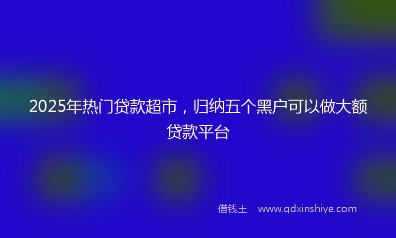 2025年热门贷款超市，归纳五个黑户可以做大额贷款平台