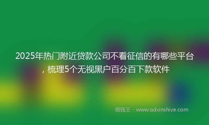 2025年热门附近贷款公司不看征信的有哪些平台，梳理5个无视黑户百分百下款软件