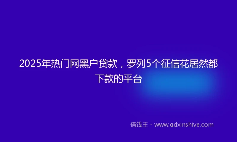 2025年热门网黑户贷款，罗列5个征信花居然都下款的平台