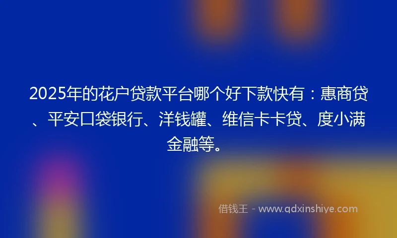 2025年的花户贷款平台哪个好下款快有：惠商贷、平安口袋银行、洋钱罐、维信卡卡贷、度小满金融等。