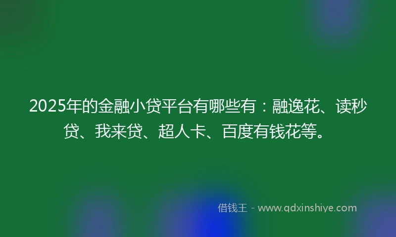 2025年的金融小贷平台有哪些有：融逸花、读秒贷、我来贷、超人卡、百度有钱花等。