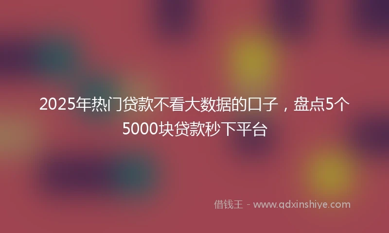 2025年热门贷款不看大数据的口子，盘点5个5000块贷款秒下平台